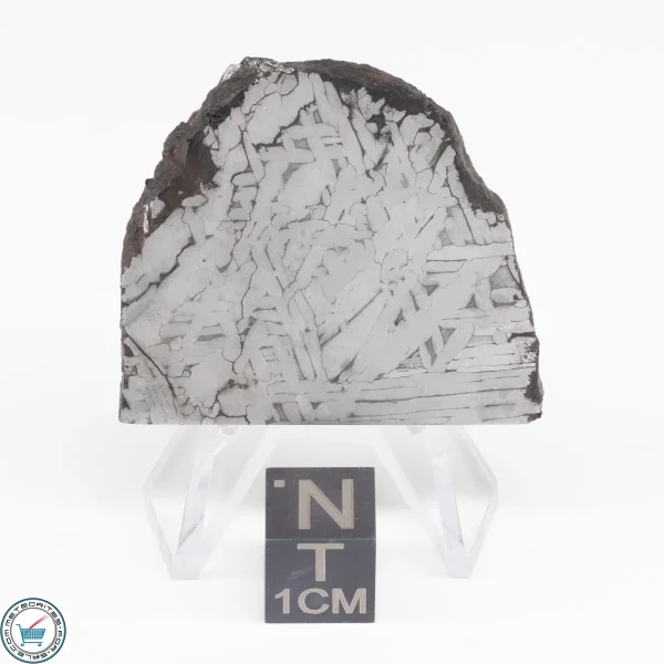 Toluca Meteorite Slice 23.6g