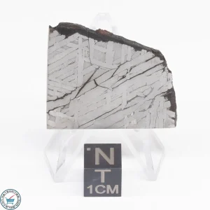 Toluca Meteorite Slice 19.1g