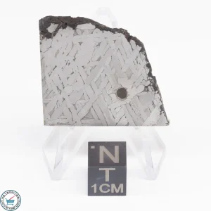 Toluca Meteorite Slice 18.0g