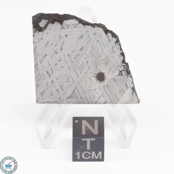 Toluca Meteorite Slice 18.0g