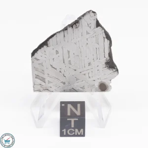 Toluca Meteorite Slice 19.1g