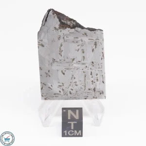 Odessa Meteorite Slice  25.1g