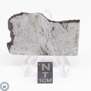 Odessa Meteorite Slice  24.8g
