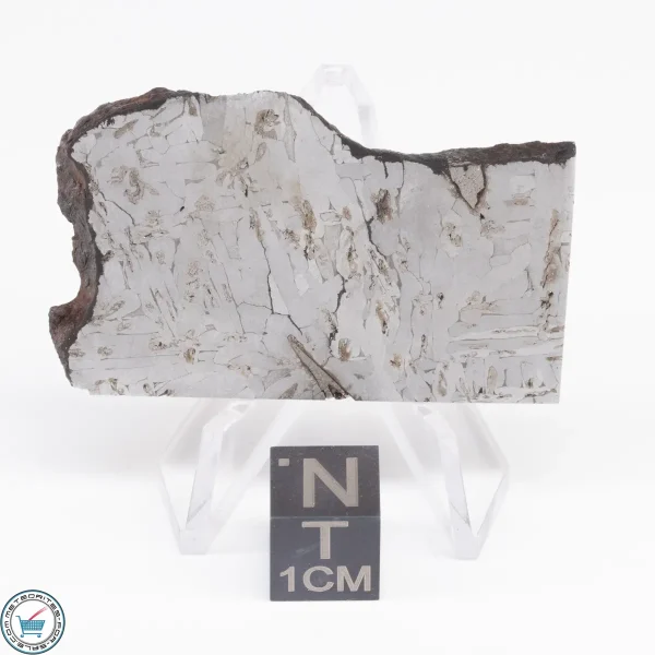 Odessa Meteorite Slice  24.8g