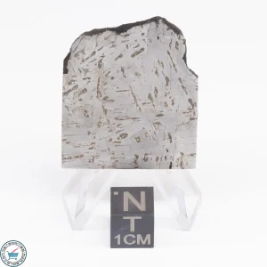 Odessa Meteorite Slice  21.2g
