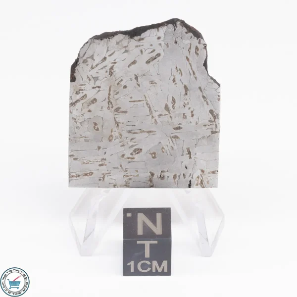 Odessa Meteorite Slice  21.2g