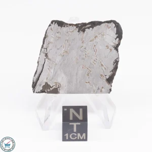 Odessa Meteorite Slice  19.1g