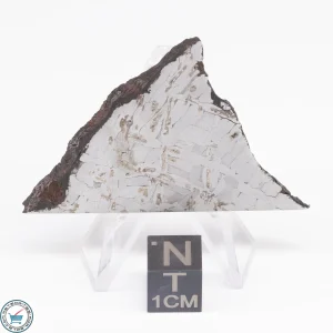 Odessa Meteorite Slice  17.9g
