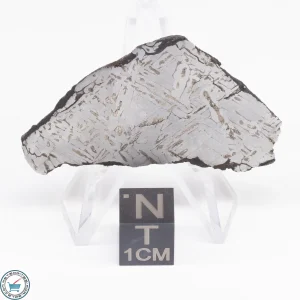 Odessa Meteorite Slice  28.4g