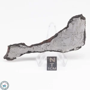 Odessa Meteorite Slice  28.4g