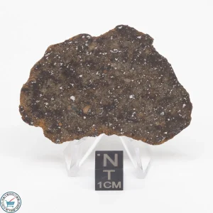 Gold Basin Meteorite Slice 14.0g
