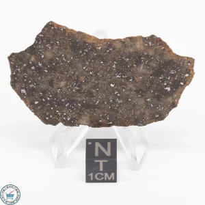 Gold Basin Meteorite Slice 11.9g