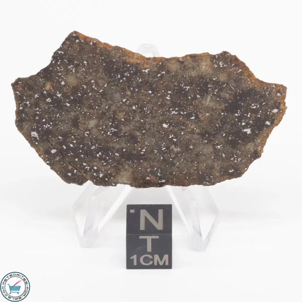Gold Basin Meteorite Slice 11.9g