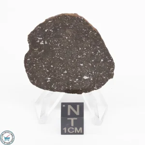 Gold Basin Meteorite Slice 9.1g