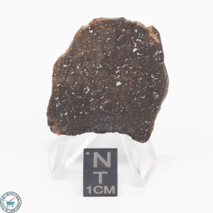 Gold Basin Meteorite Slice 8.8g