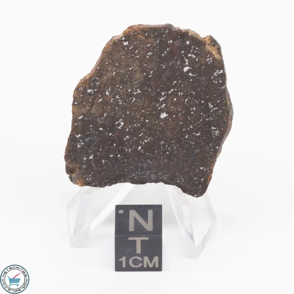 Gold Basin Meteorite Slice 8.8g