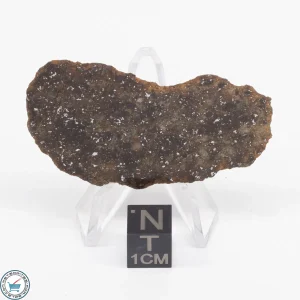 Gold Basin Meteorite Slice 8.0g