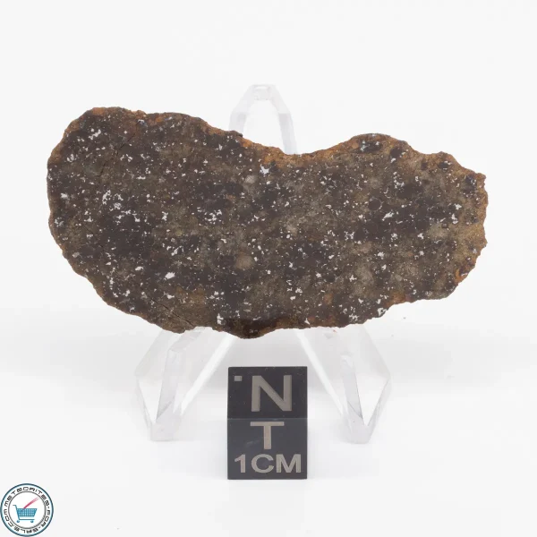 Gold Basin Meteorite Slice 8.0g