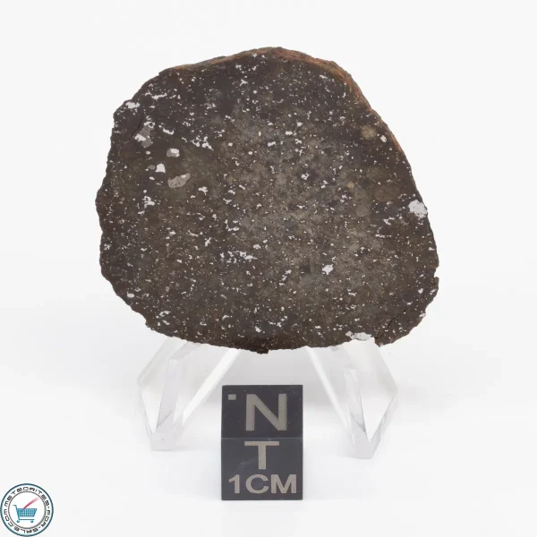 Gold Basin Meteorite Slice 10.5g
