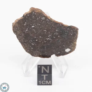 Gold Basin Meteorite Slice 9.8g