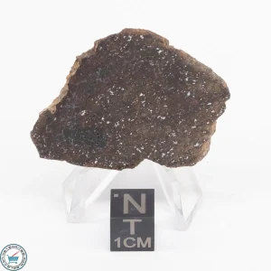 Gold Basin Meteorite Slice 9.3g