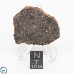 Gold Basin Meteorite Slice 8.9g
