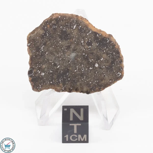 Gold Basin Meteorite Slice 8.9g