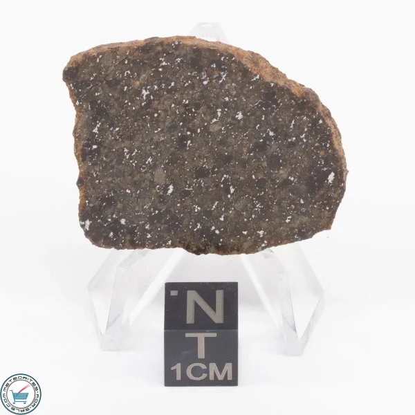 Gold Basin Meteorite Slice 9.3g