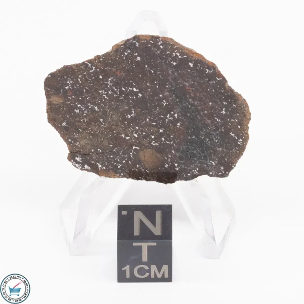 Gold Basin Meteorite Slice 7.0g