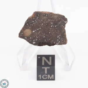 Gold Basin Meteorite Slice 3.7g