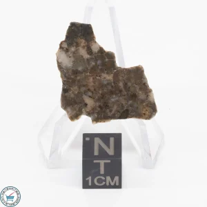 Laâyoune 002 Lunar Meteorite 1.21g