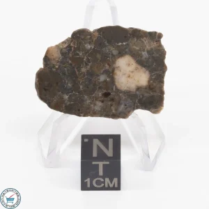 Laâyoune 002 Lunar Meteorite 1.94g