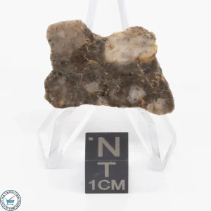 Laâyoune 002 Lunar Meteorite 1.48g