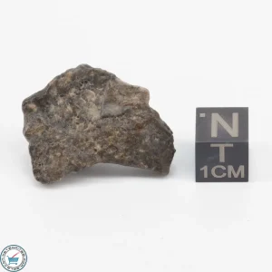Laâyoune 002 Lunar Meteorite 5.9g Individual