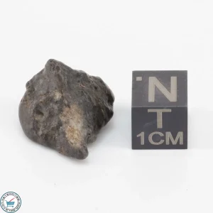 Laâyoune 002 Lunar Meteorite 3.7g Individual