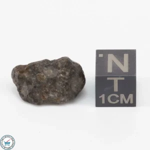 Laâyoune 002 Lunar Meteorite 2.3g Individual