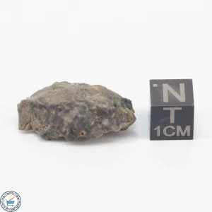 NWA 15482 Lunar Meteorite 4.4g Individual