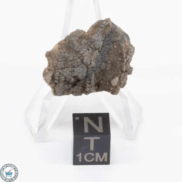 NWA 15482 Lunar Meteorite 5.9g Individual