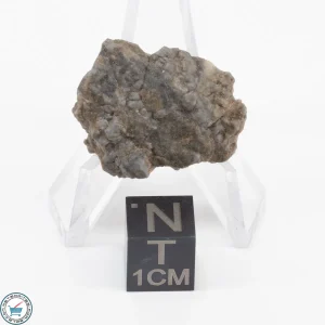 NWA 15482 Lunar Meteorite 5.9g Individual