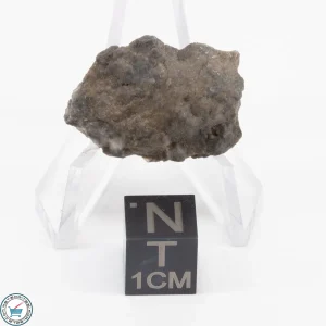 NWA 15482 Lunar Meteorite 4.7g Individual