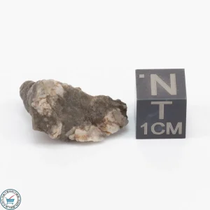 NWA 15482 Lunar Meteorite 3.3g Individual