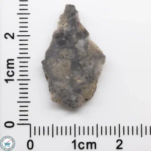 NWA 15482 Lunar Meteorite 0.93g