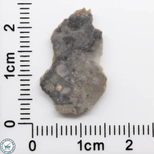 NWA 15482 Lunar Meteorite 0.59g
