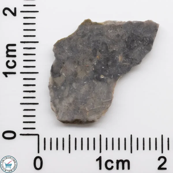 NWA 15482 Lunar Meteorite 0.50g