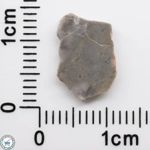 NWA 15482 Lunar Meteorite 0.24g