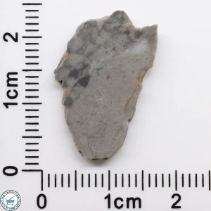 NWA 15482 Lunar Meteorite 0.87g