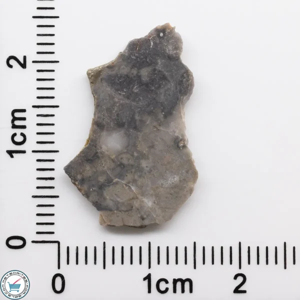 NWA 15482 Lunar Meteorite 0.62g
