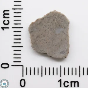 NWA 15482 Lunar Meteorite 0.27g
