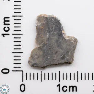 NWA 15482 Lunar Meteorite 0.30g