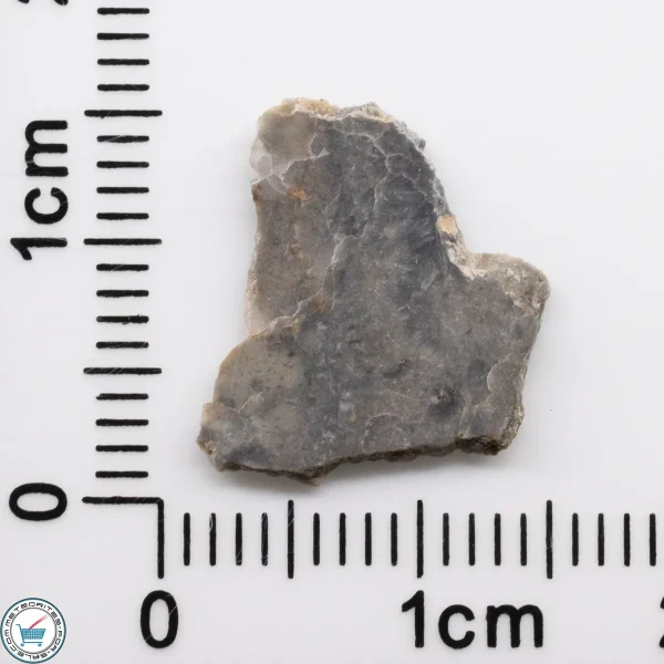 NWA 15482 Lunar Meteorite 0.30g